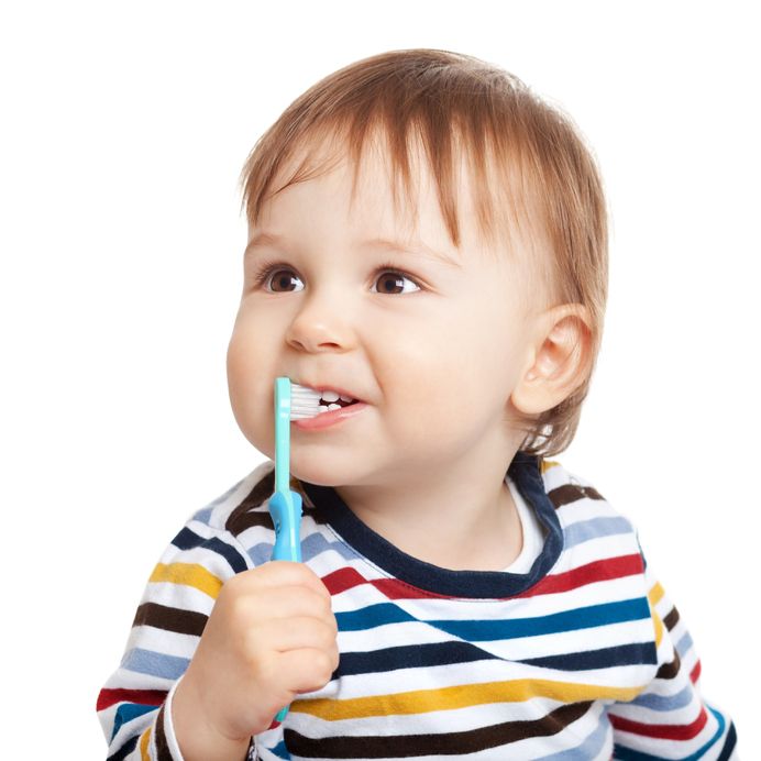 22071820 - adorable one year old child learning to brush teeth, isolated on white