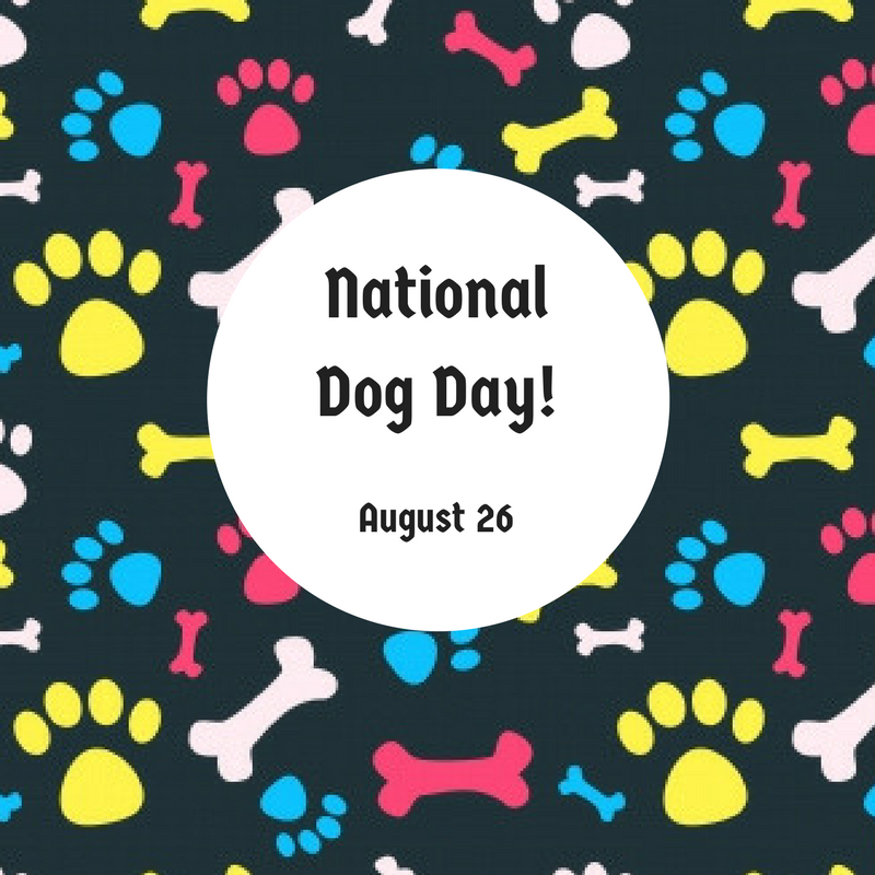August 26 – National Dog Day!