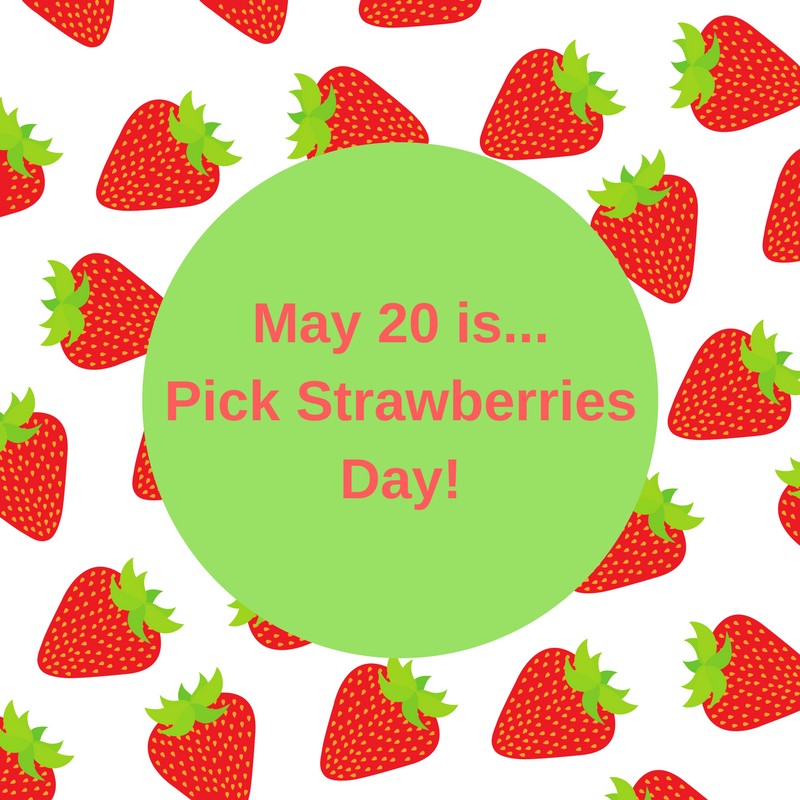 May 20…Pick Strawberries Day!