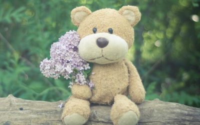 Sept. 9 is National Teddy Bear Day!