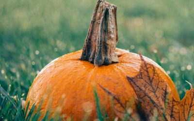 Oct. 26 is National Pumpkin Day!