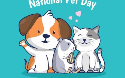 National Pet Day (4.11.21)