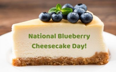 National Blueberry Cheesecake Cake Day 2021!