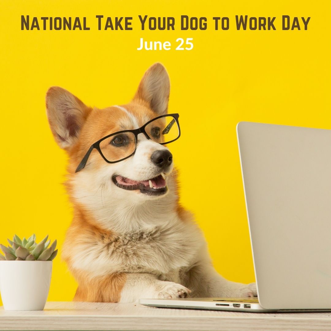 National Take Your Dog to Work Day! (6.25.21) mydentistsinfo